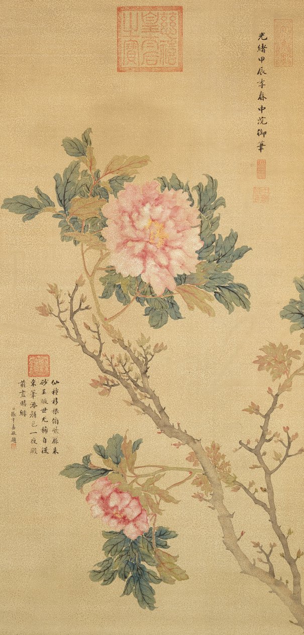 Peonia, dinastia Qing (inchiostro e colore su seta) da Empress Cixi Manchu-Chinese