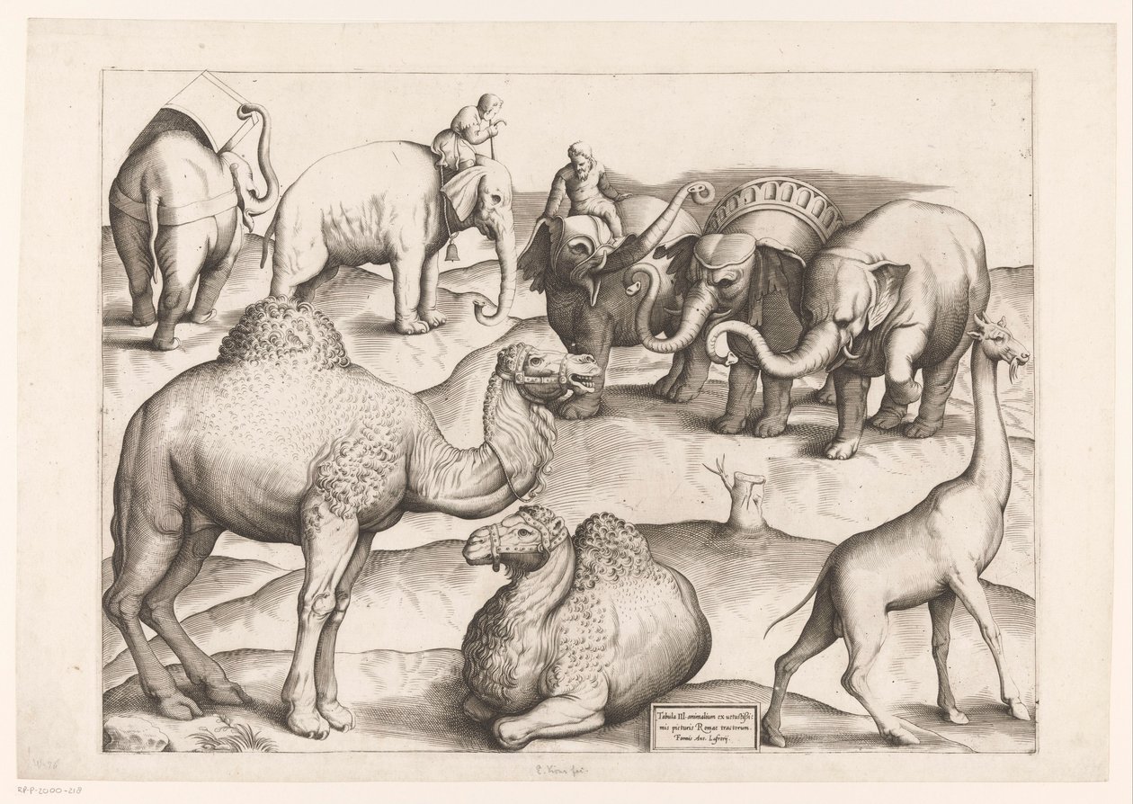 Otto animali da Enea Vico (attributed to)