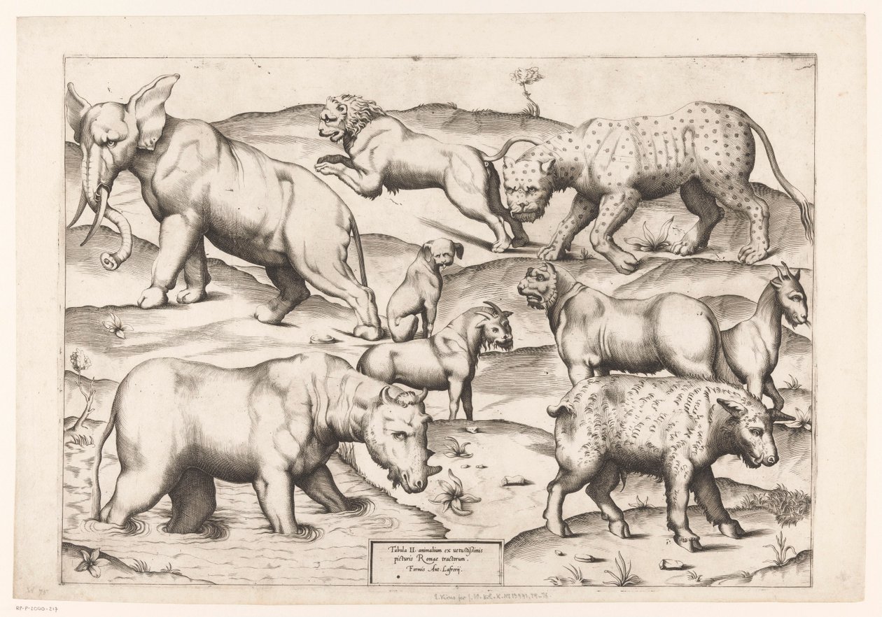 Nove animali da Enea Vico (attributed to)