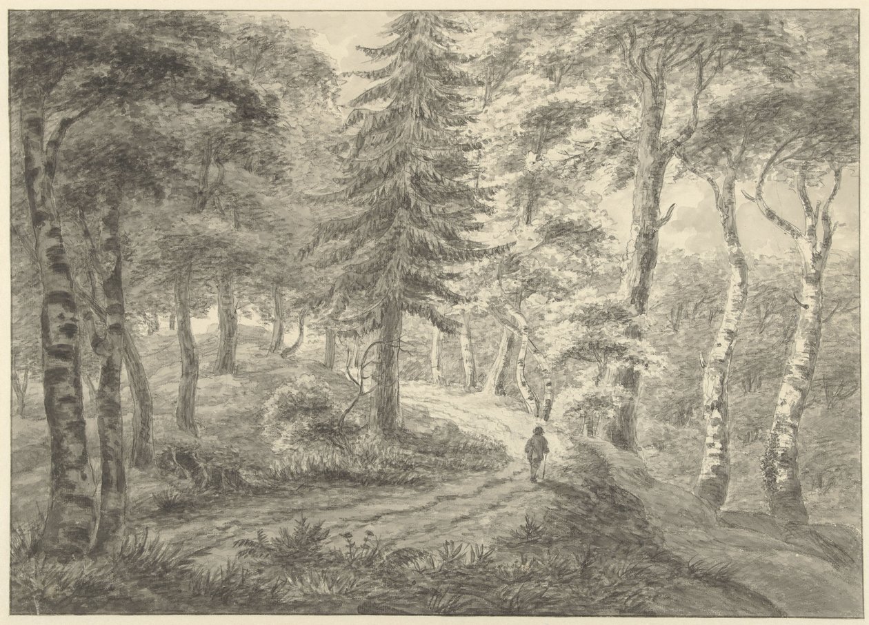 Veduta del bosco da Engelbert Michaël Engelberts