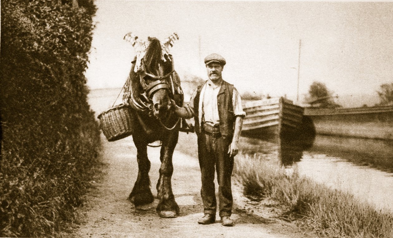 Un cavallo pronto a trainare una chiatta sul canale, Londra da English Photographer
