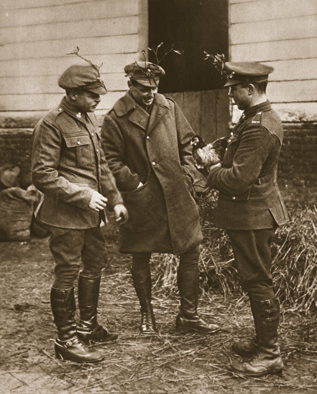 Un tipico gruppo britannico: soldati con vischio e un pollo per Natale, illustrazione da The Illustrated War News da English Photographer