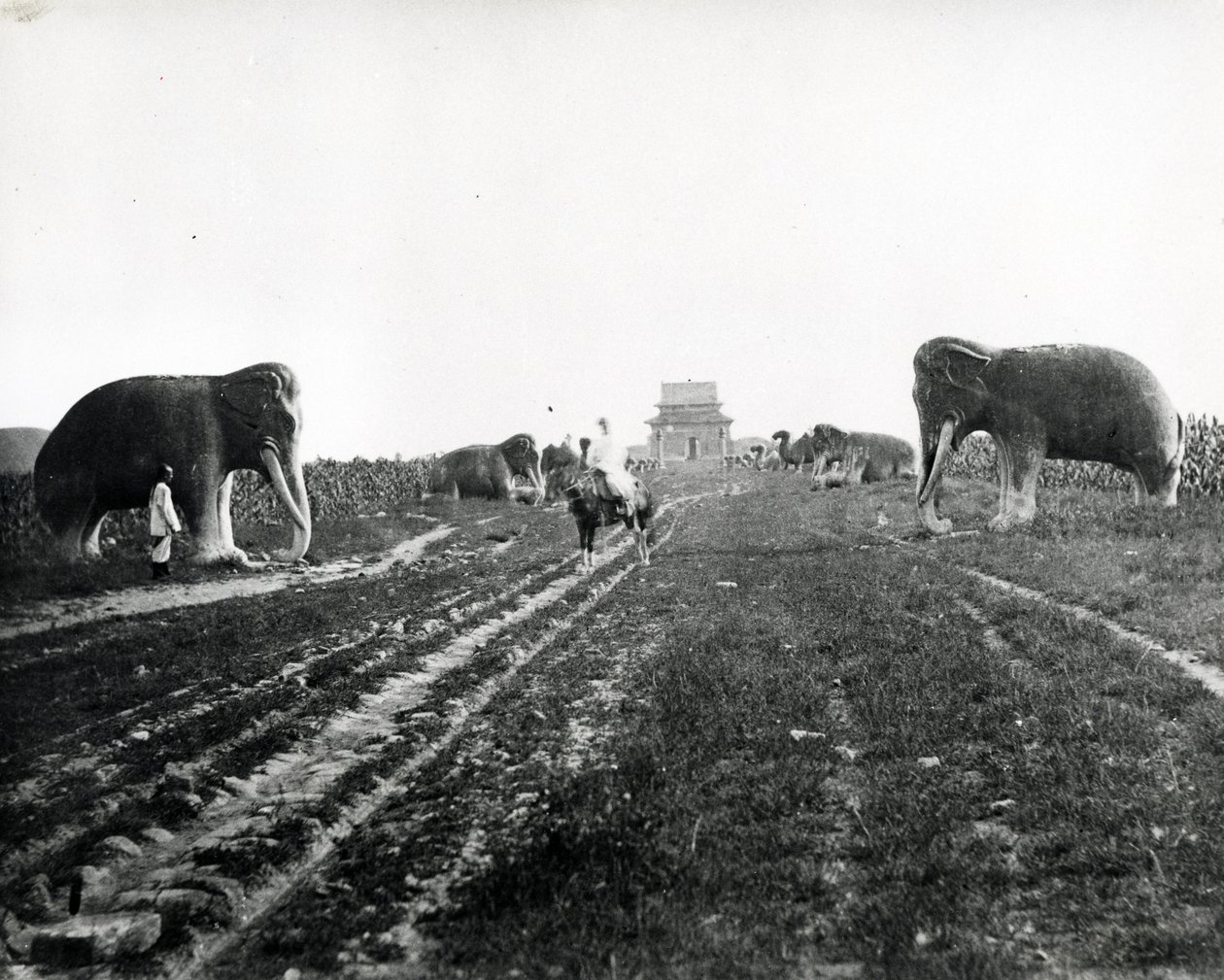 Viale degli animali guardiani che conduce alle tombe Ming, Pechino, c.1868-70 da English Photographer