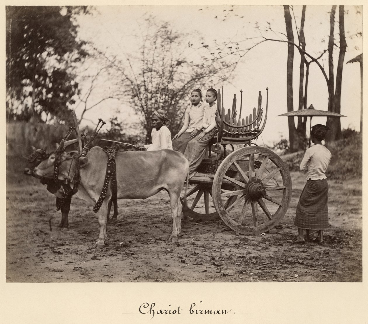 Carro trainato da due buoi a Mandalay, Birmania, c.1885 da English Photographer
