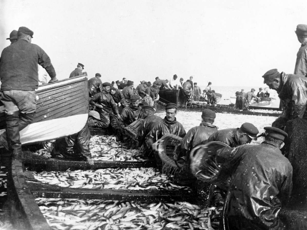 Pescatori con il loro pescato, c.1890 da English Photographer