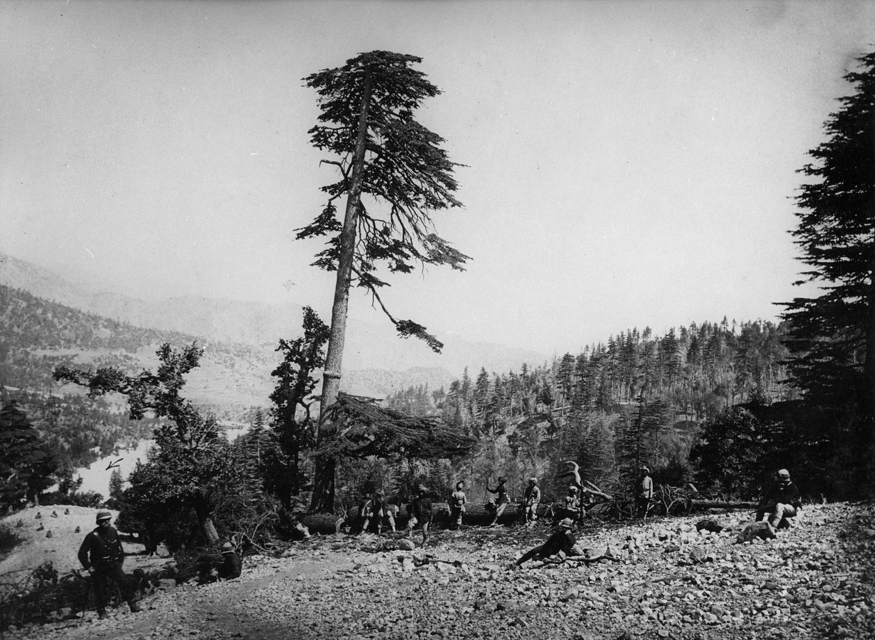 Soldati nativi e britannici a riposo durante la Seconda Guerra Anglo-Afghana, 1878-80 da English Photographer