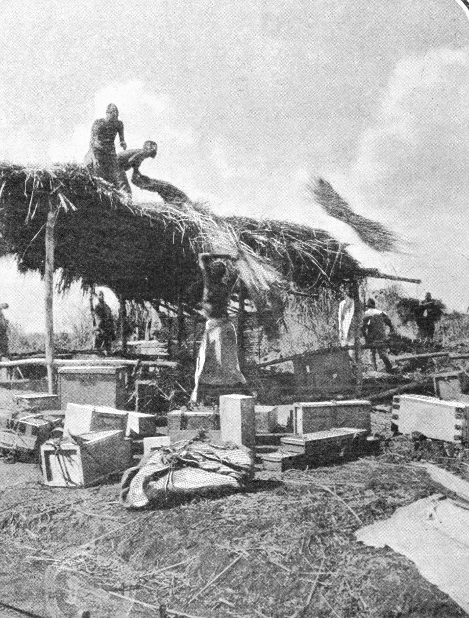 Nativi che costruiscono una casa di riposo, da un articolo intitolato Alle Montagne della Luna pubblicato in The Graphic 27 ottobre 1906 da English Photographer