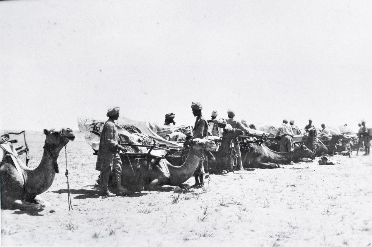 Soldati con cammelli in Mesopotamia durante la Prima Guerra Mondiale, da un album compilato dal tenente Kindom da English Photographer