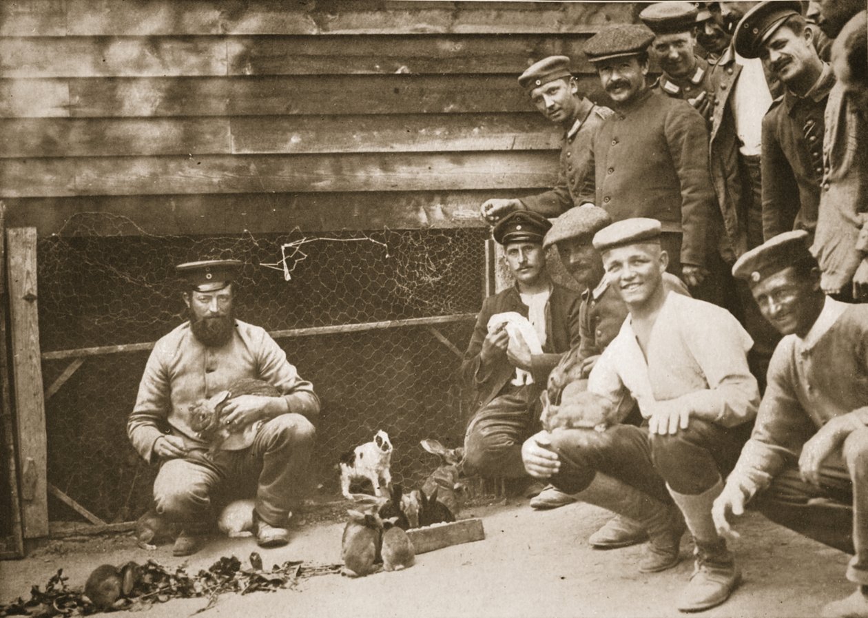 Alcuni degli animali domestici dei prigionieri, Dorchester, illustrazione da Prigionieri tedeschi in Gran Bretagna da English Photographer
