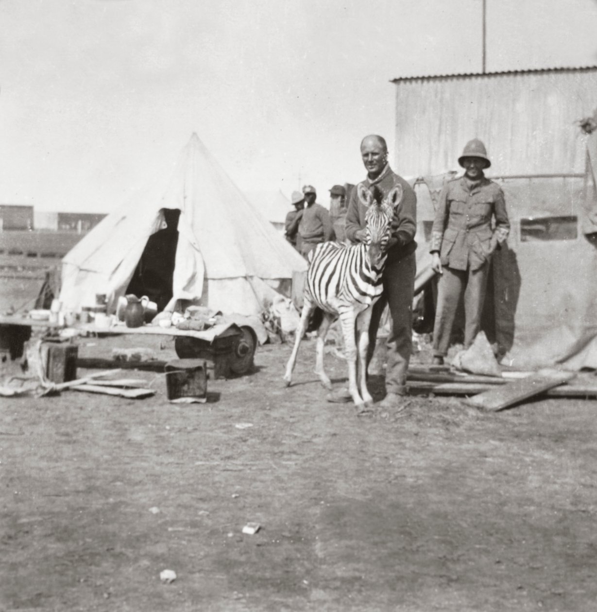 Artiglieri sudafricani con la loro zebra domestica in Africa orientale da English Photographer