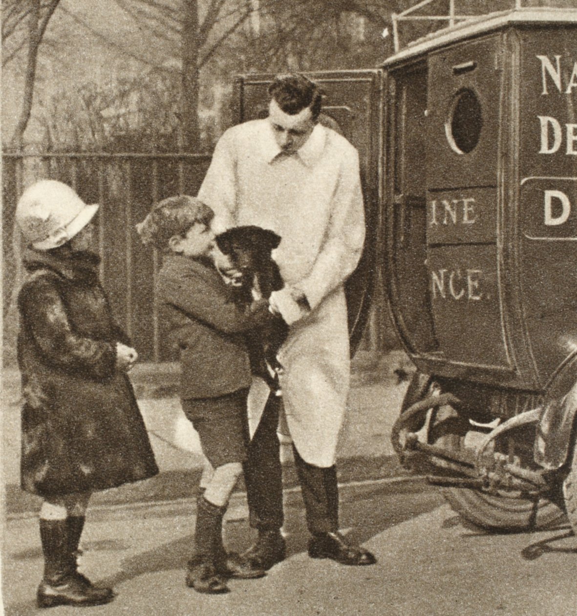Il veterinario della filiale di Fulham del Dispensario Popolare per Animali Malati, da Wonderful London, pubblicato 1926-27 da English Photographer