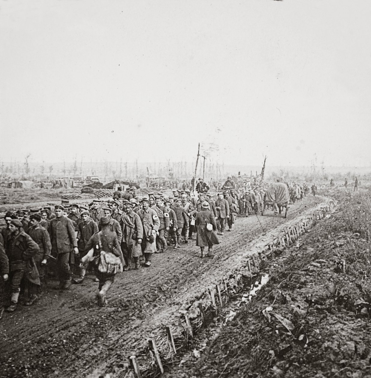Migliaia di soldati tedeschi catturati nella rotta finale degli eserciti tedeschi sulla Sambre da English Photographer