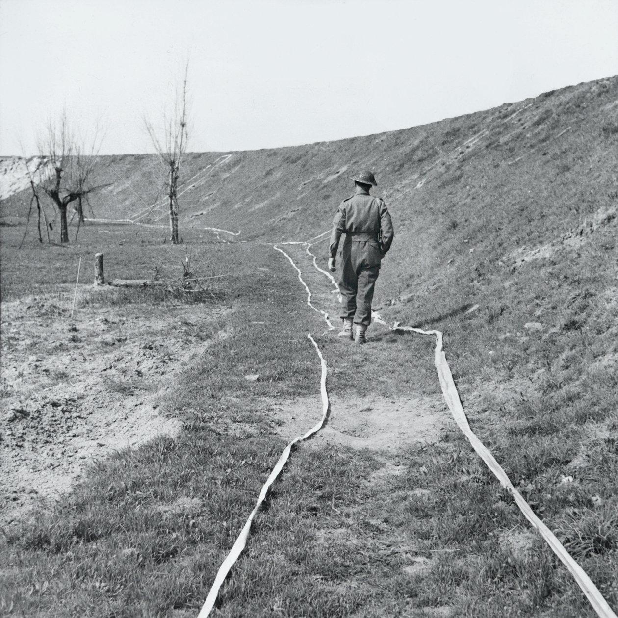 Nastro bianco che segna percorsi chiari attraverso un campo minato, vicino al fiume Senio, Italia, marzo 1945 da English Photographer