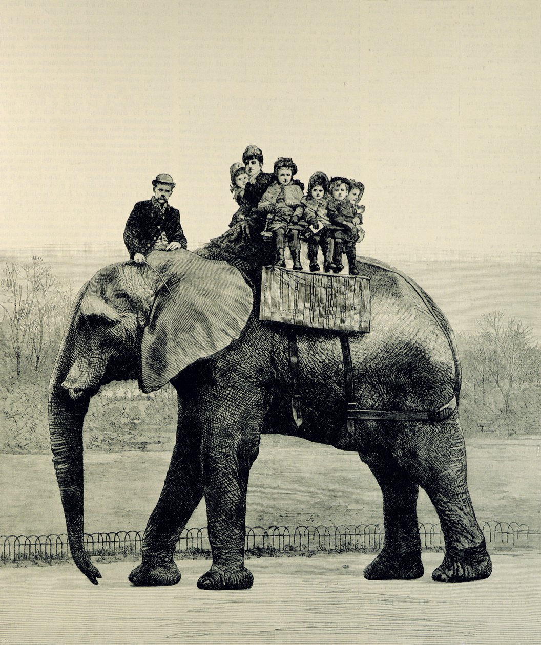 Un ultimo giro su Jumbo, da 