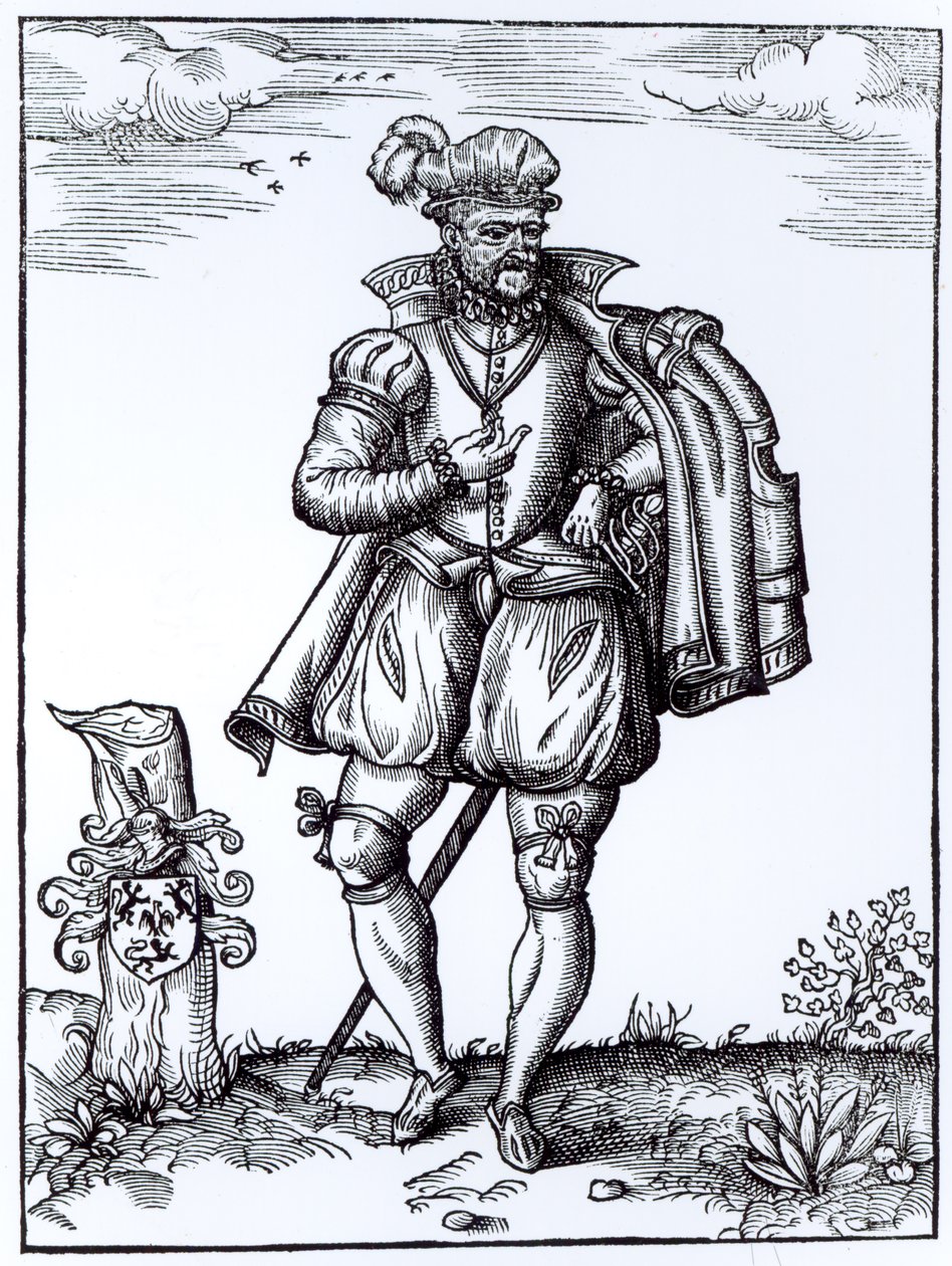 Un gentiluomo Tudor da English School