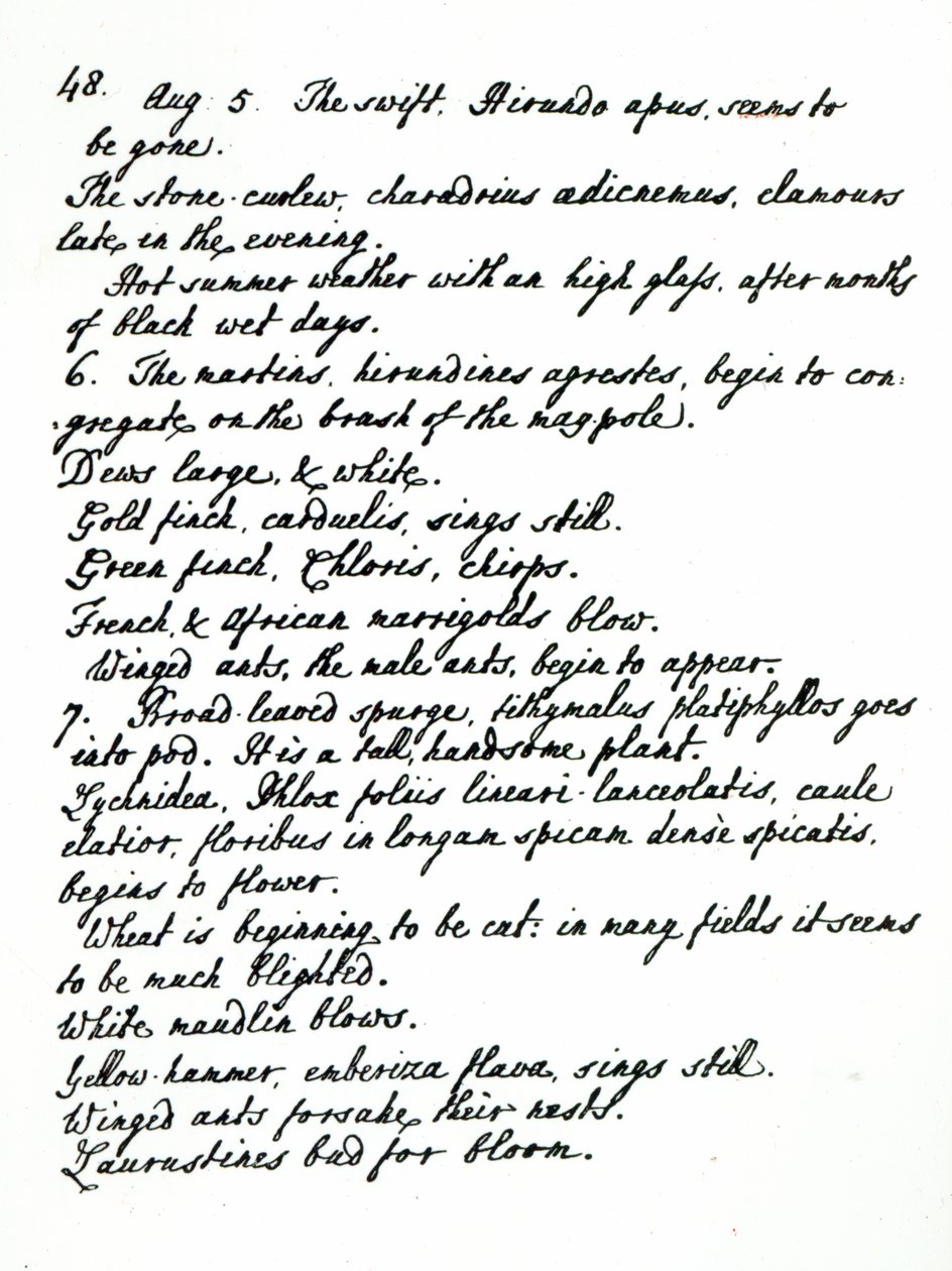Una pagina dal diario del Rev. James Woodforde da English School