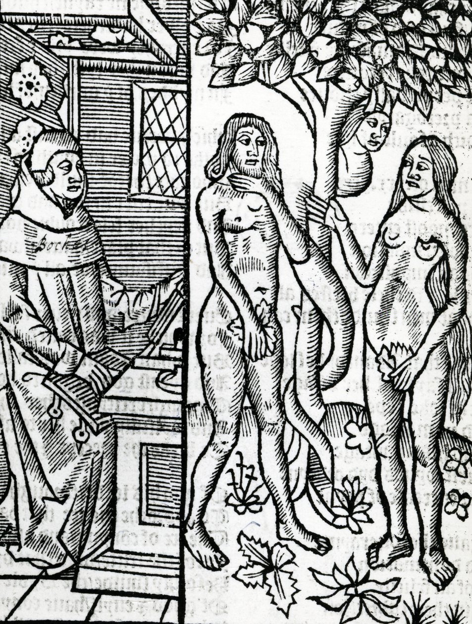 Adamo ed Eva, illustrazione dalla traduzione di John Lydgate del 