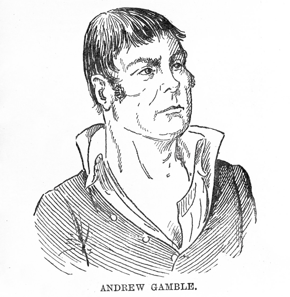 Andrew Gamble da English School