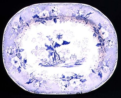 Piatto di carne blu e bianco decorato con il motivo Botanic Beauties, Elkin & Newton, 1844-45 da English School