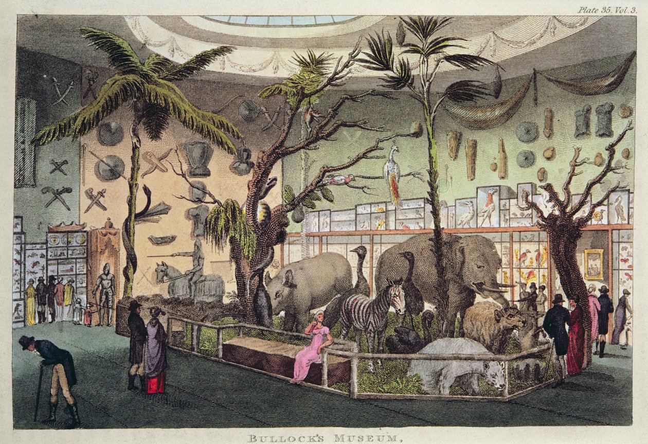 Museo di Bullock (incisione a colori) da English School