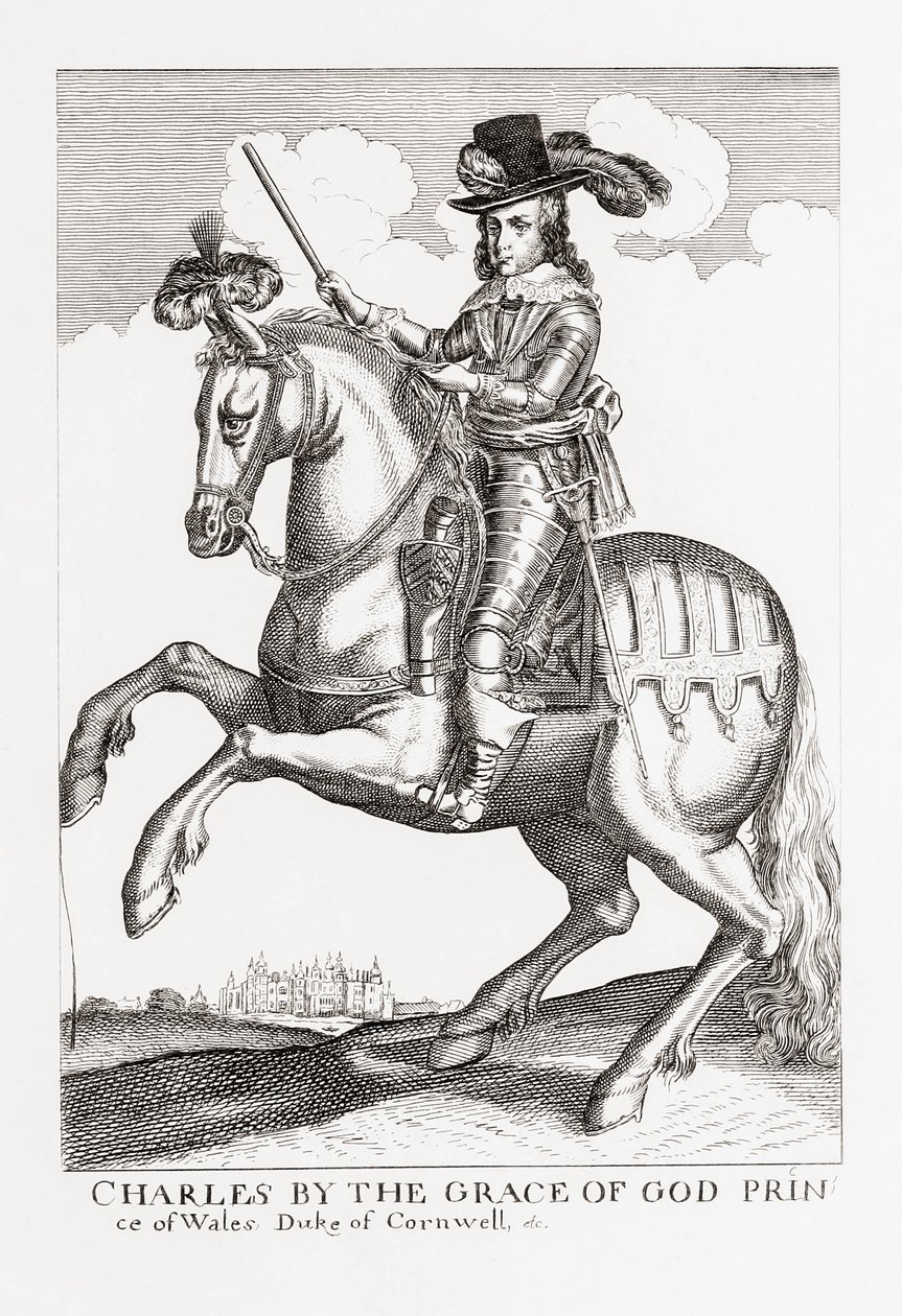 Carlo I, Re d