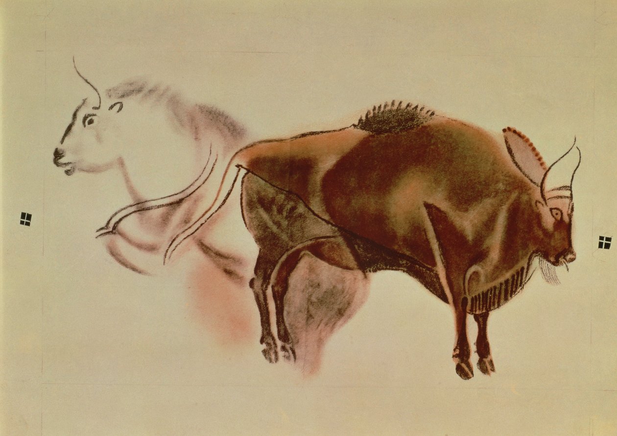 Copia di una pittura rupestre di due bisonti del c.15000 a.C. da English School