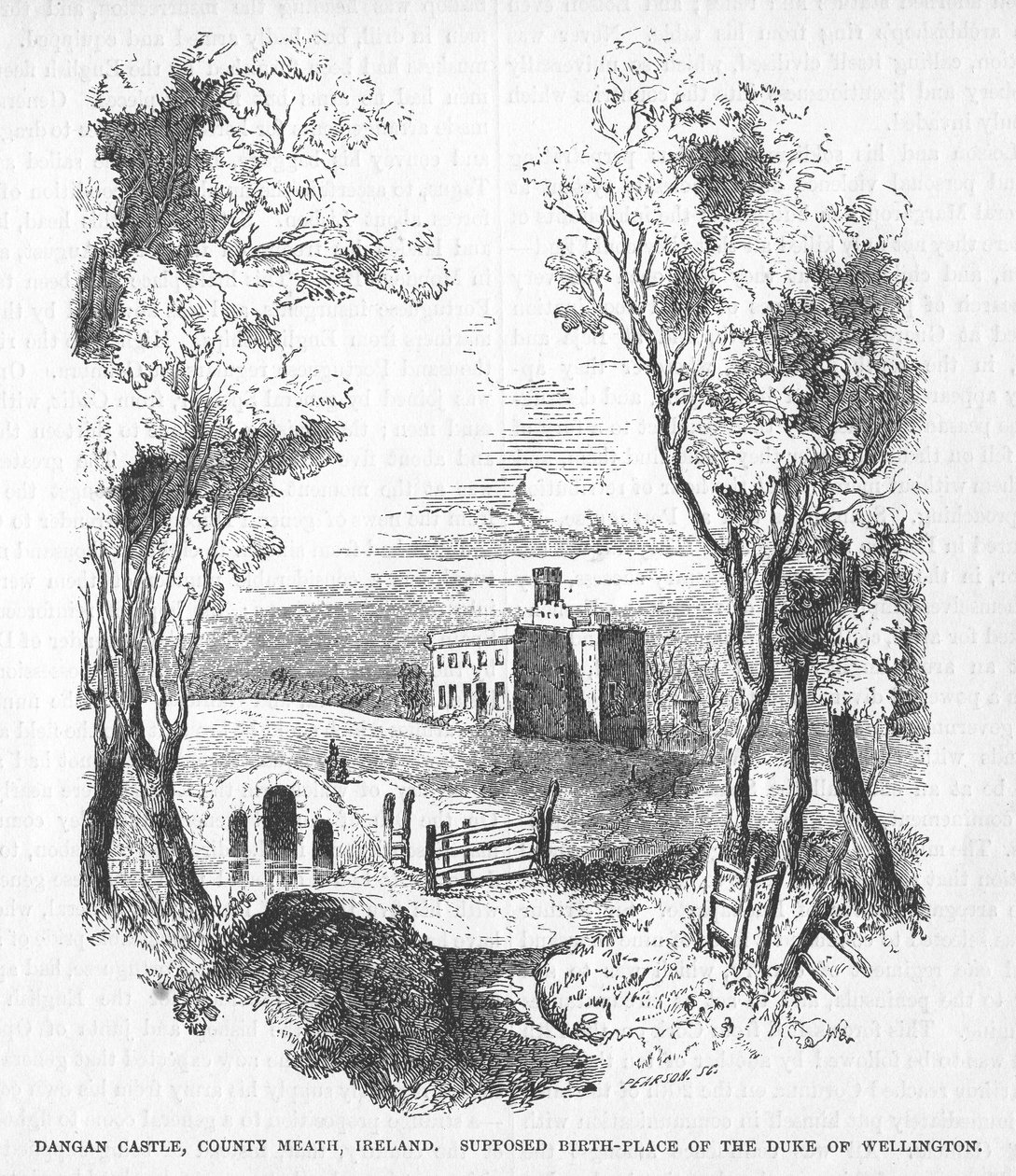 Castello di Dangan, Contea di Meath, Irlanda da English School