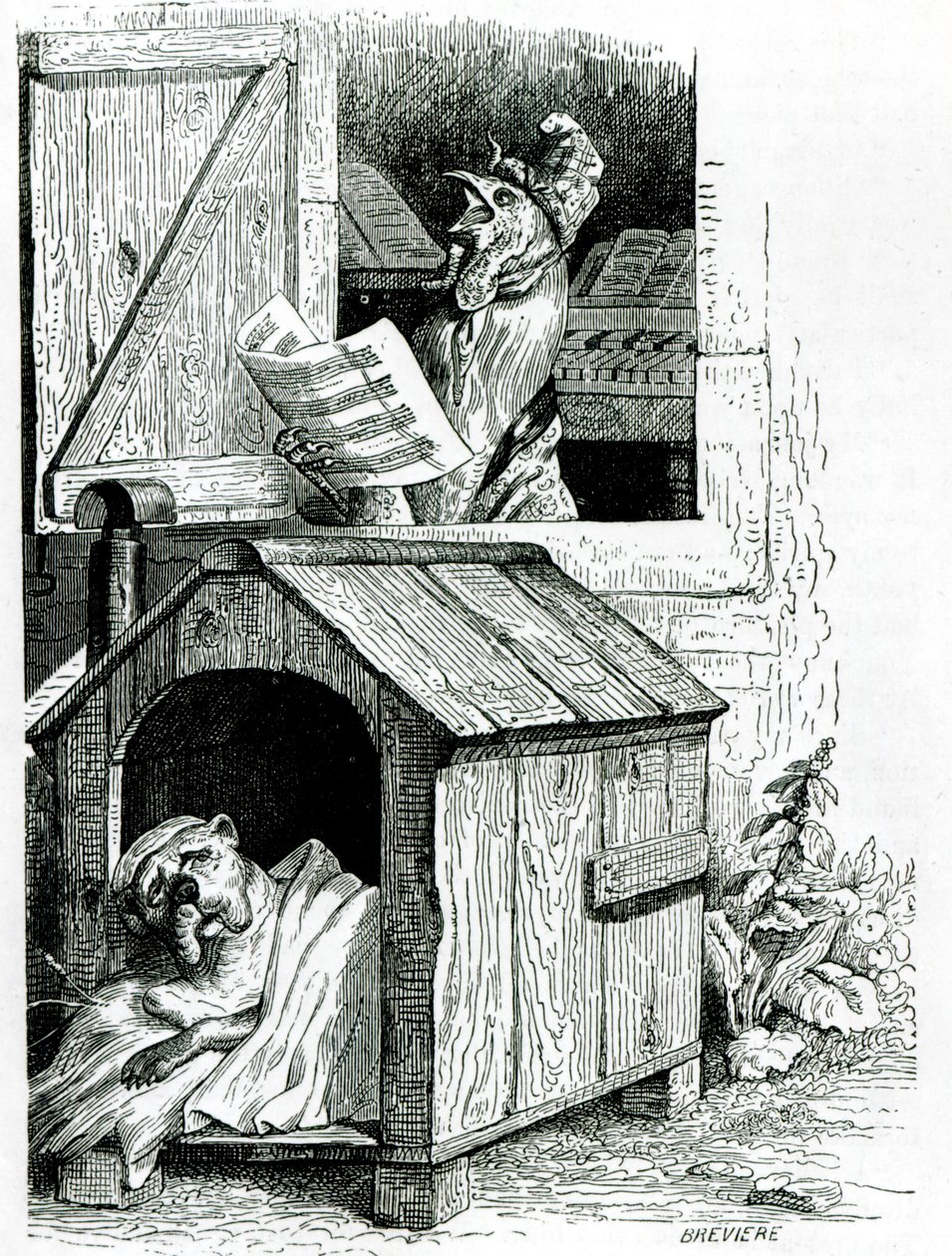 Cane che dorme e gallo che canta, da 