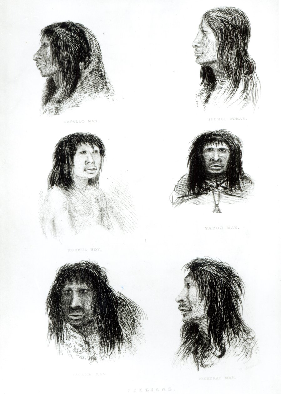 Fuegini, 1838 da English School