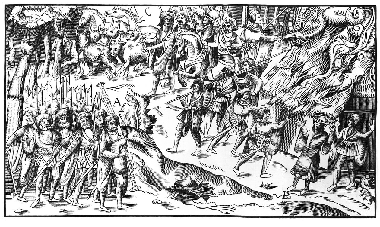 Incursione di bestiame irlandese in una piantagione inglese, 1581 da English School