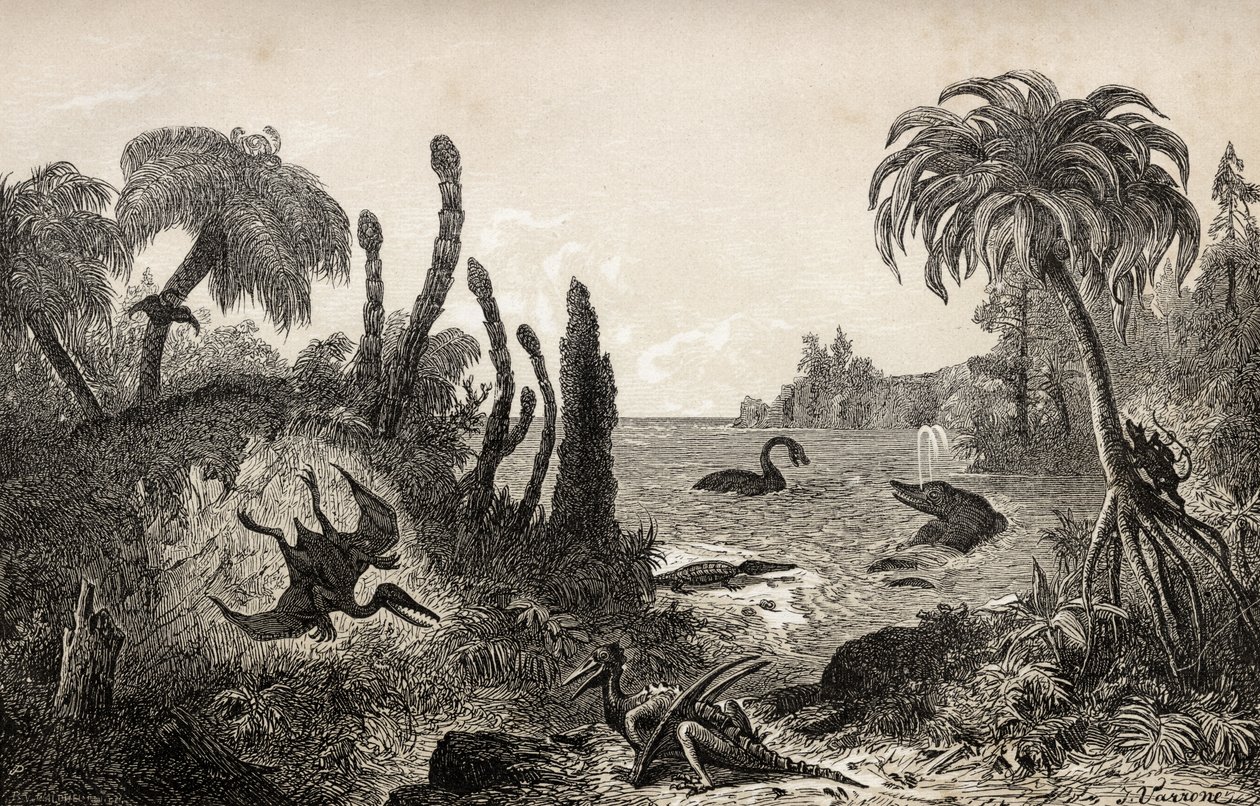 Paesaggio Giurassico da English School