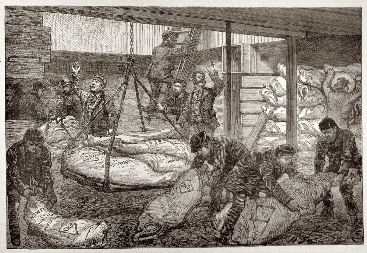 Sbarco di carne congelata australiana da Sydney nel South West India Dock, Millwall, da 