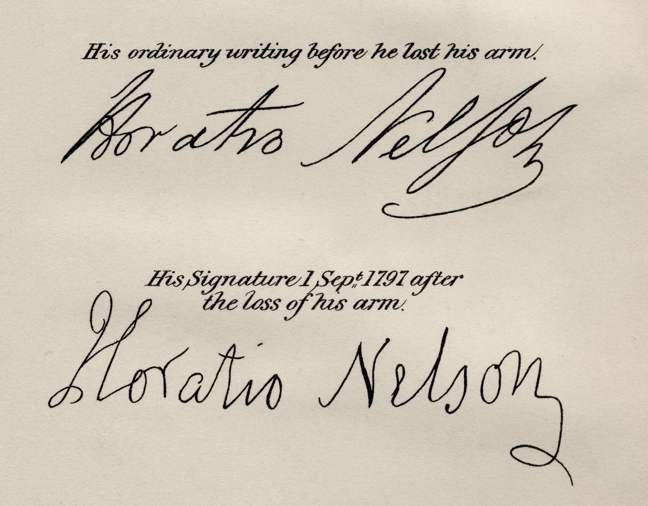 Firme di Lord Nelson, illustrazione da 