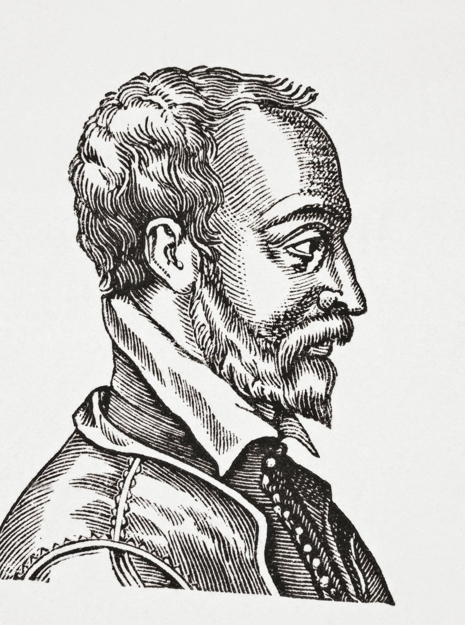 Remy Belleau, 1878 da English School