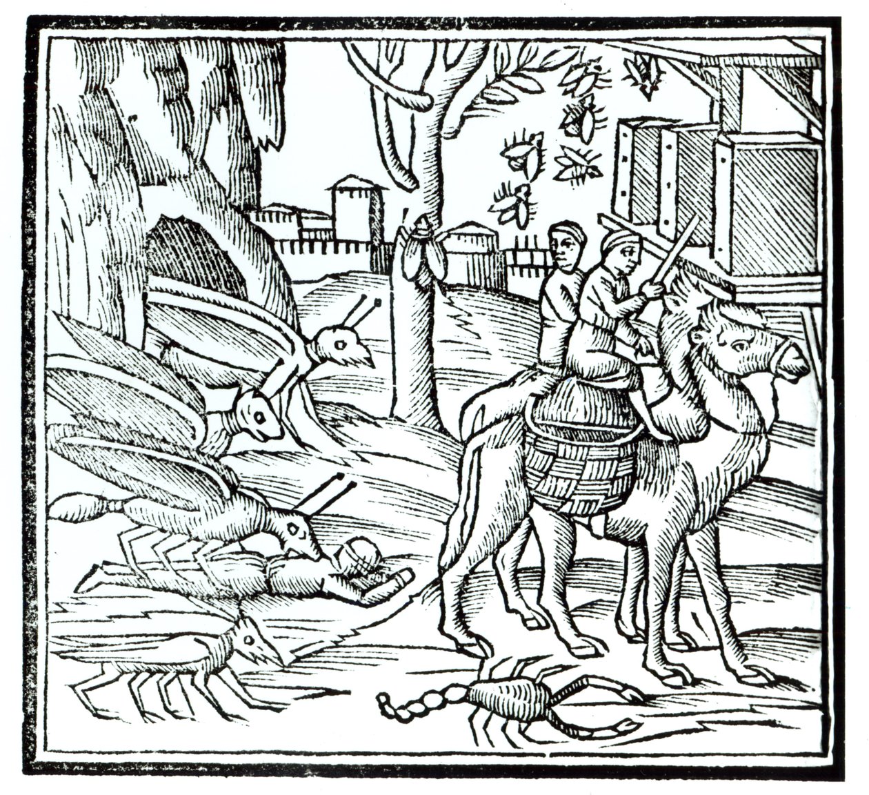 Rappresentazione della Peste, 1572 da English School