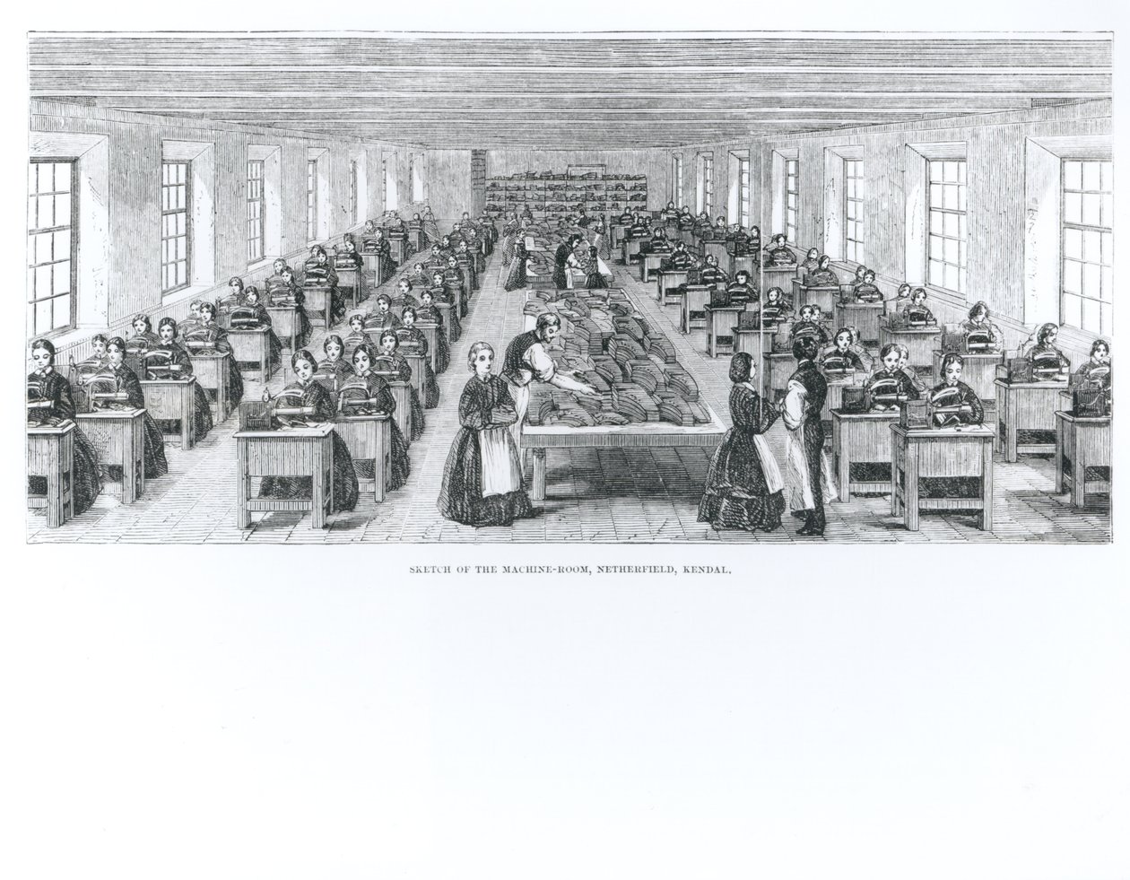 Fabbrica di scarpe da English School