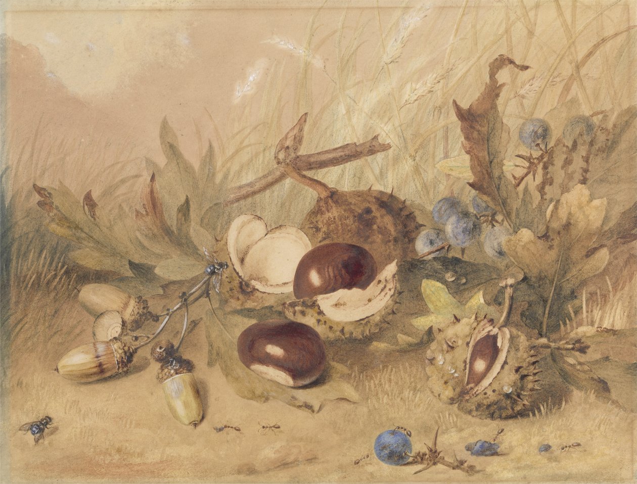 Natura morta con ghiande e castagne d