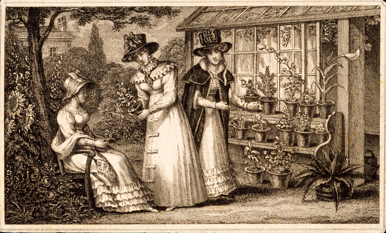 Tre signore che fanno giardinaggio vicino al capanno degli attrezzi c.1820 da English School