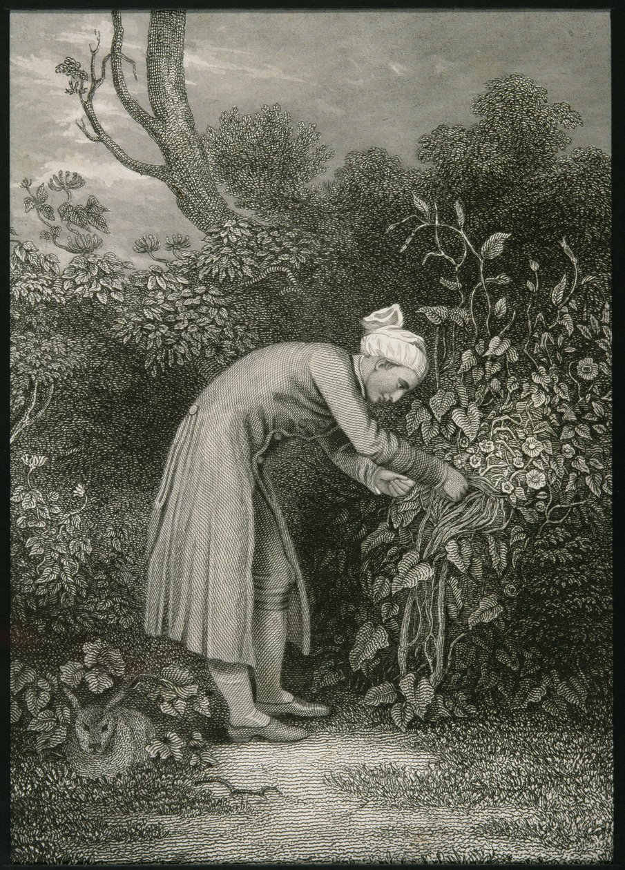 William Cowper (1731-1800) da English School