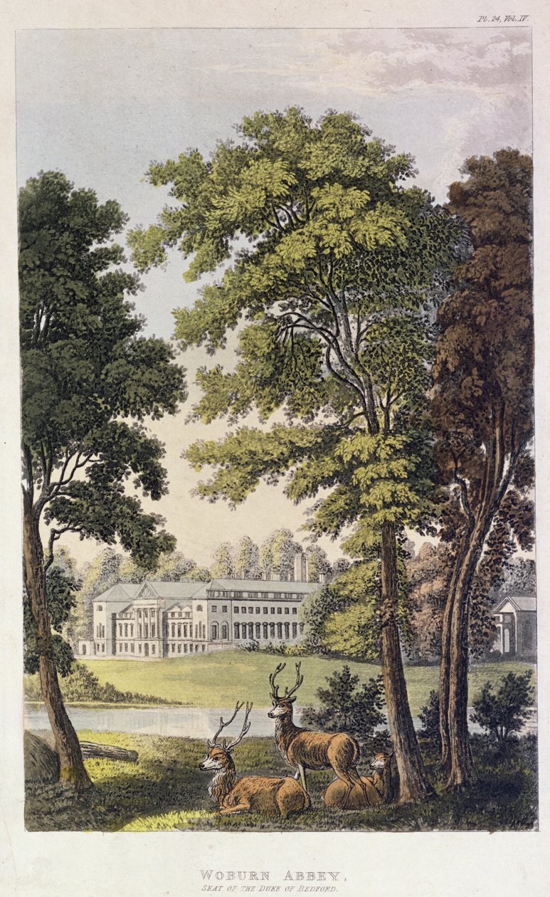 Abbazia di Woburn, da 