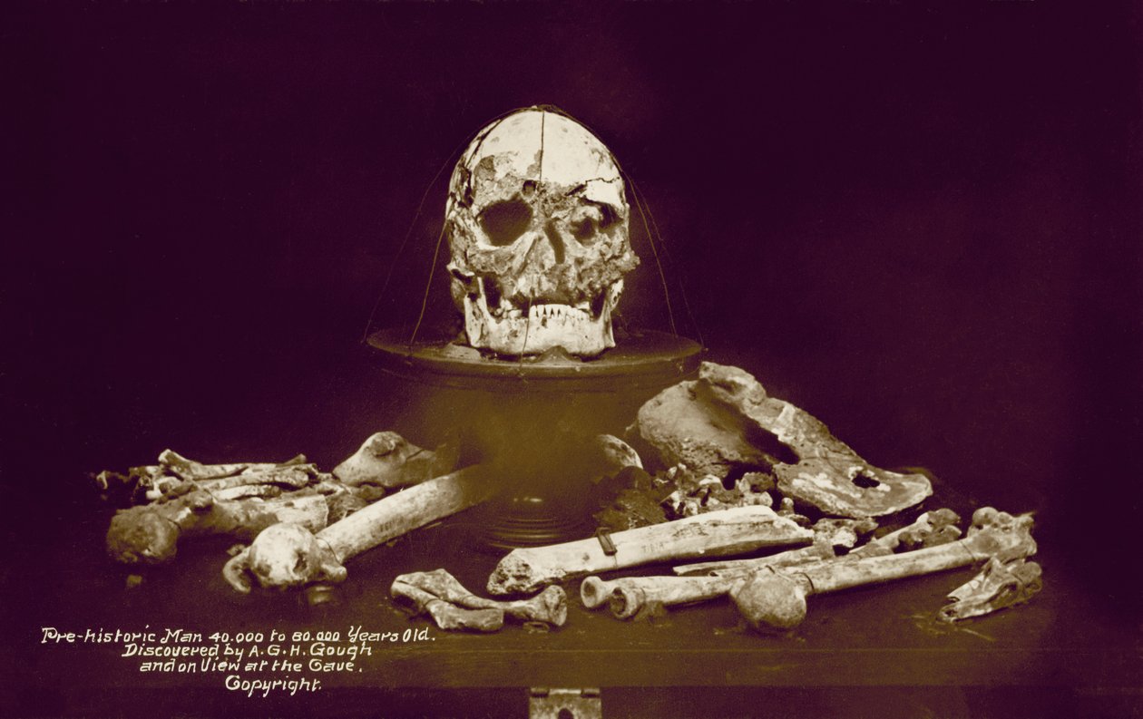 Ossa di un uomo preistorico di 40.000-80.000 anni fa scoperte da A G H Gough (foto a colori) da English Photographer