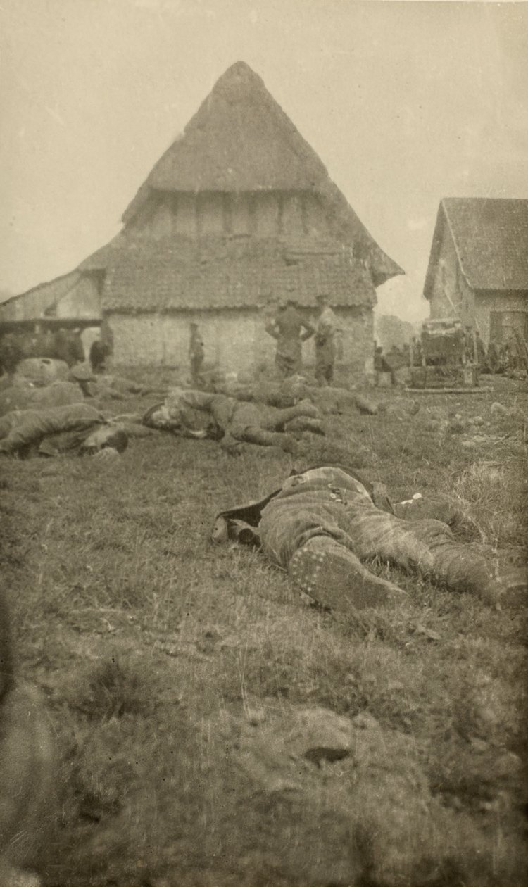 Da un album di 134 fotografie associate alla Prima Guerra Mondiale, Fronte Occidentale, 1914-18 da English Photographer
