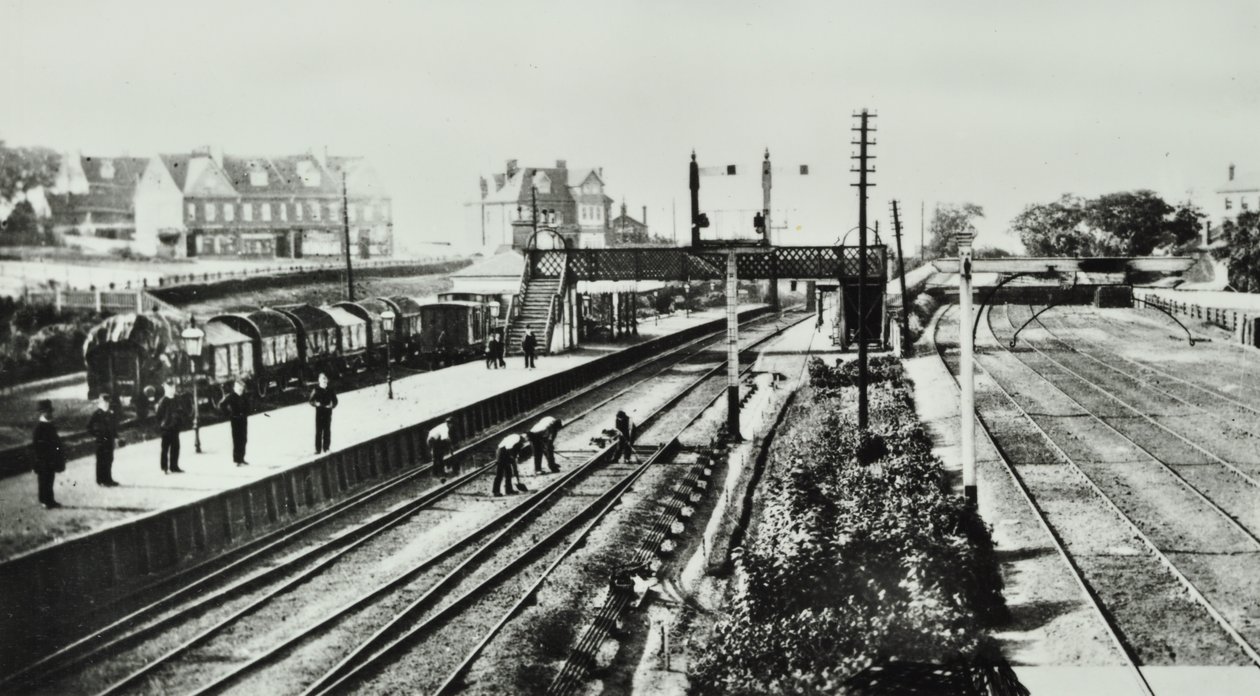 Grove Park Station: esterno e piattaforme, 1888 da English Photographer