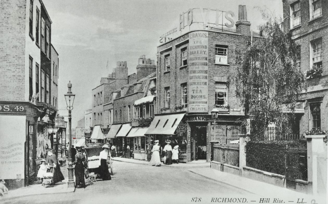 Hill Rise, Richmond: vista generale, 1895 da English Photographer