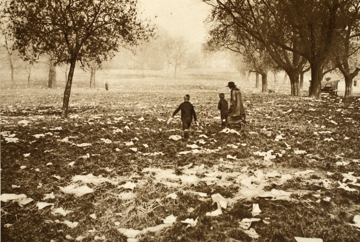 Erba disseminata di rifiuti su Hampstead Heath il giorno dopo una festa nazionale, da Wonderful London, pubblicato 1926-27 da English Photographer