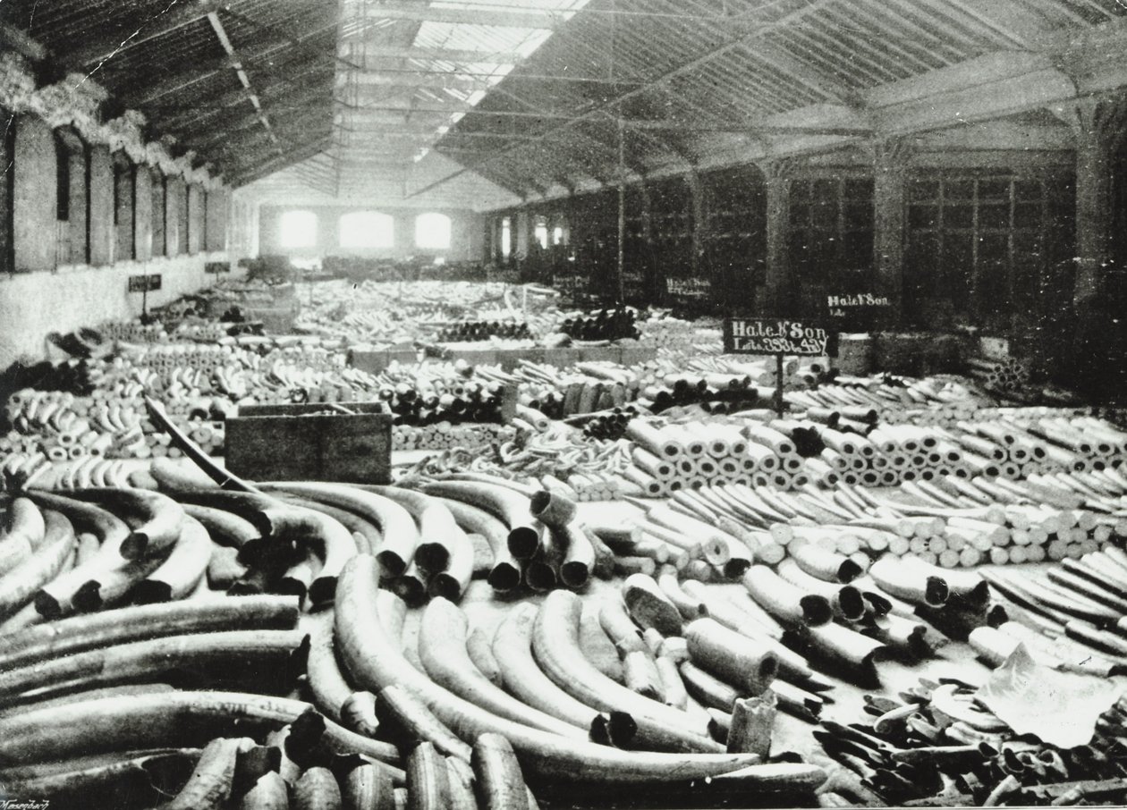 Docks di Londra: magazzino dell