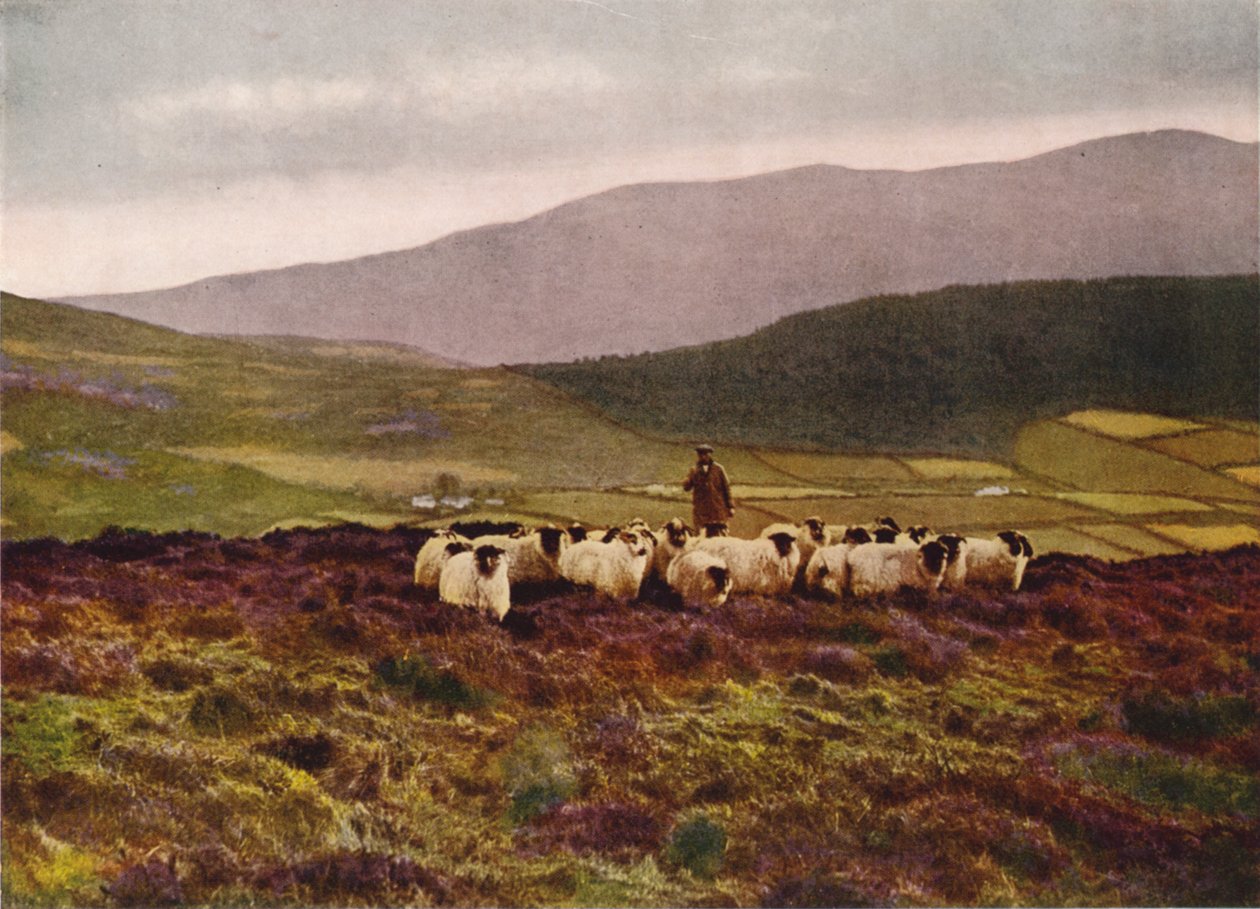 Sulle montagne di Mourne, nella contea di Down (foto a colori) da English Photographer