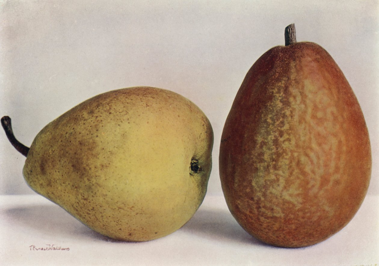 Pere, Emile d