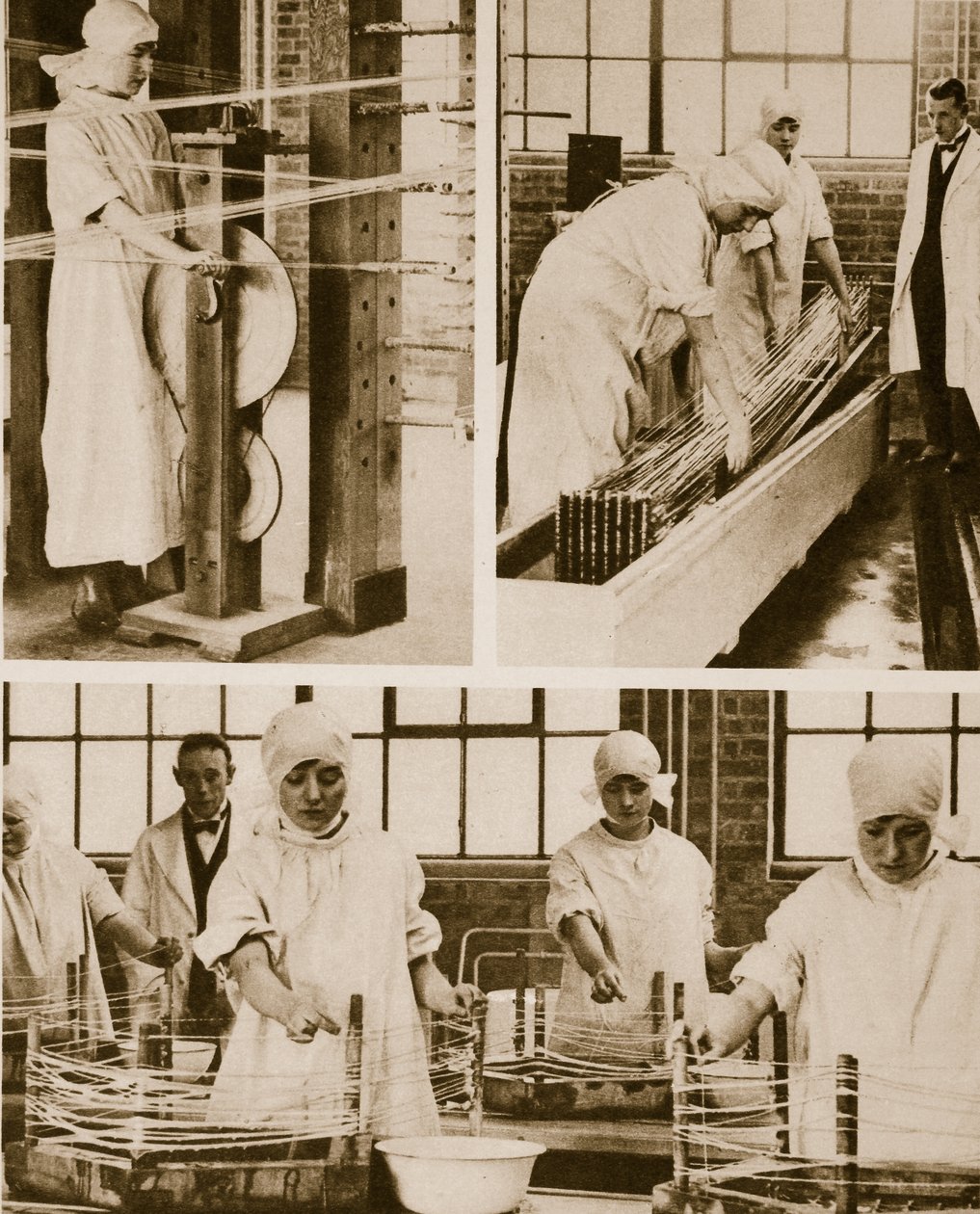 Preparazione del catgut nella fabbrica dell