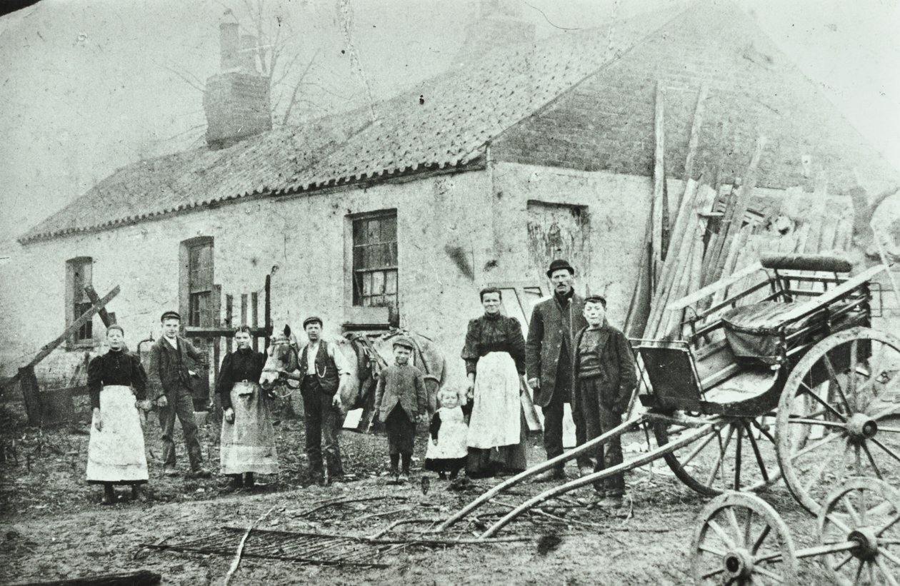 Saint Gothard Road: cottage della fattoria, 1880 da English Photographer